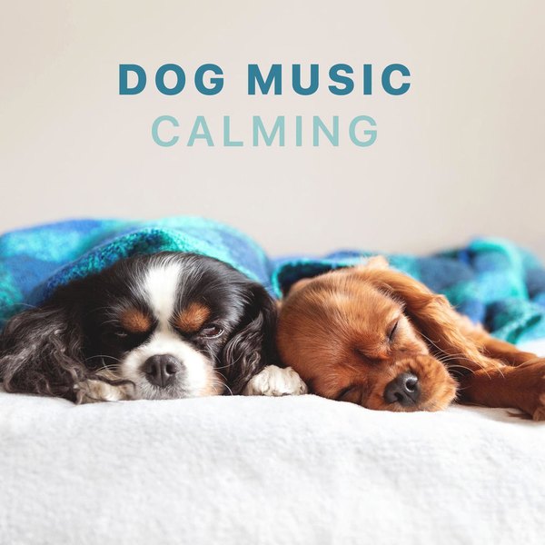 Sleepy Dogs — Dog Music - Calming Music for Dogs