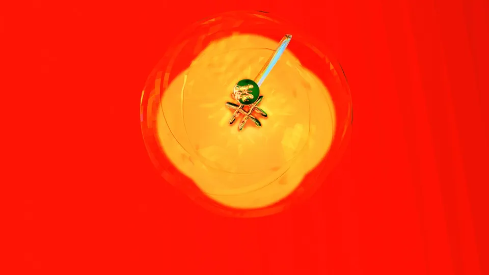 Cody’s 3D art: a gold disc on a red field