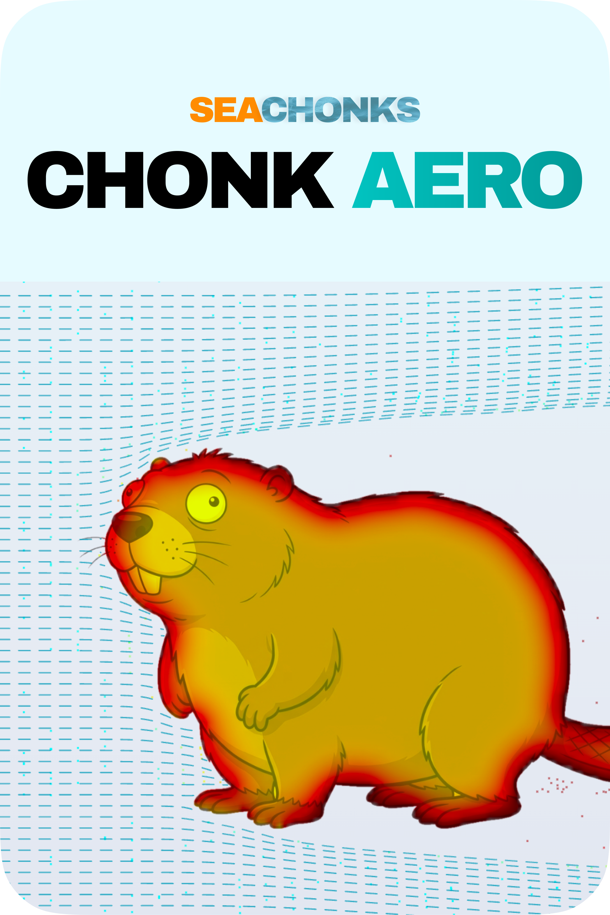 Chonk Aerodynamics Lab