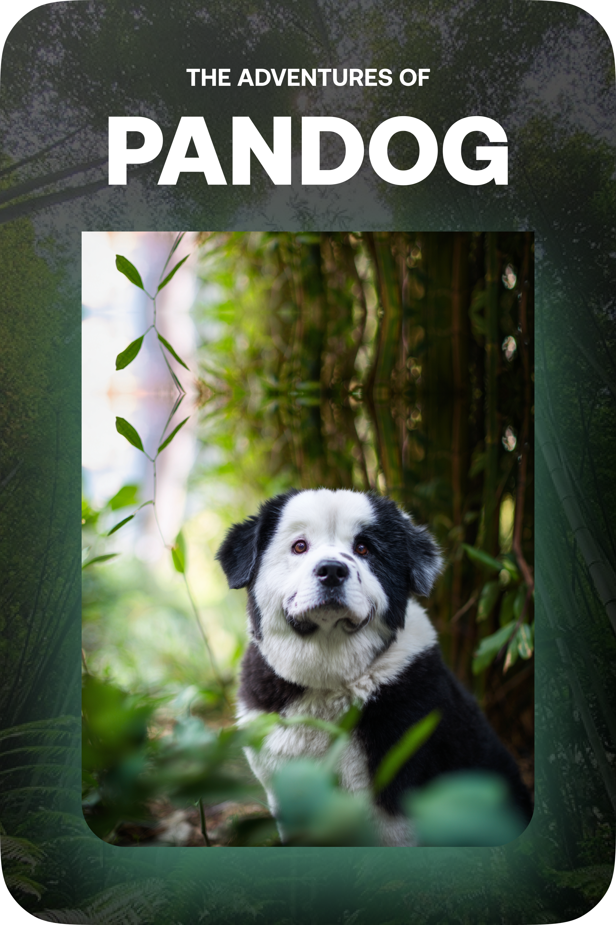 The Adventures of Pandog