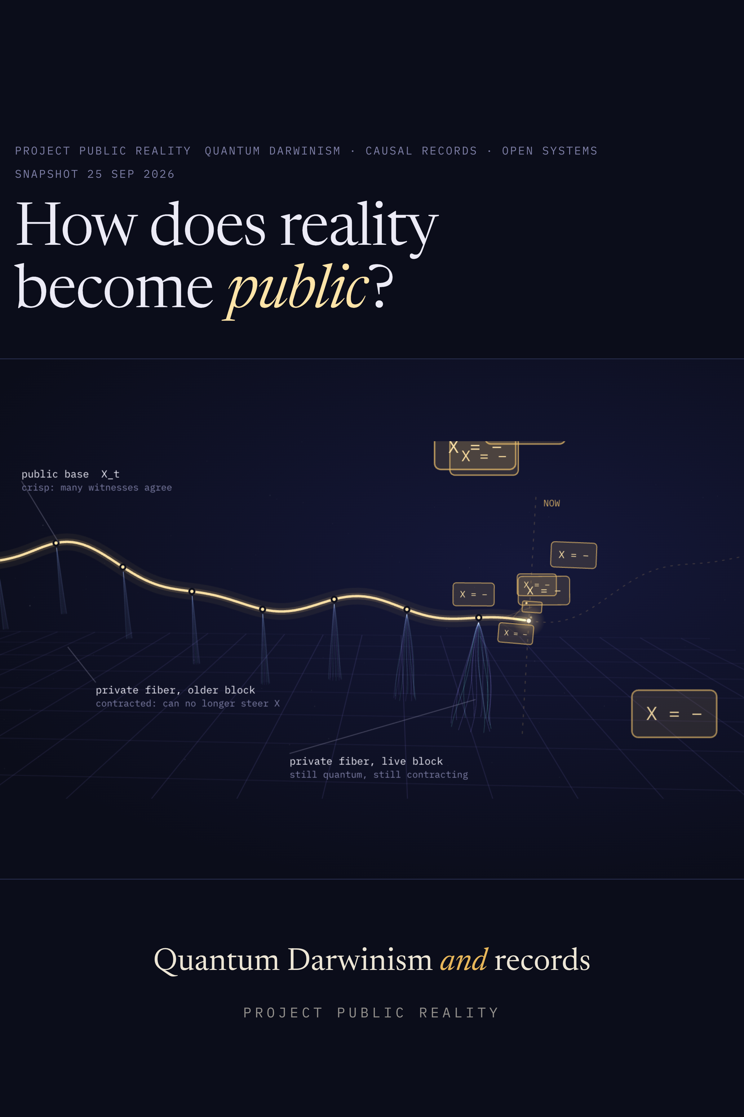 Public Reality